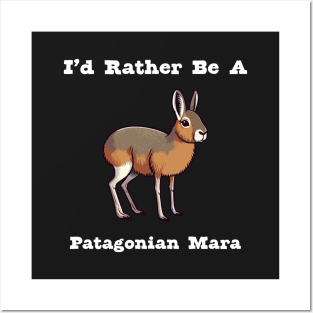 Patagonian Mara Posters and Art